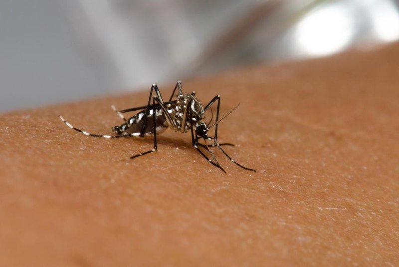 Região do Jardim São Paulo recebe mutirão contra a dengue