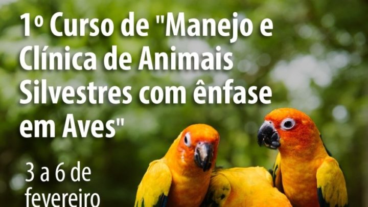 Zoo de Limeira sedia curso de manejo e clínica de animais silvestres