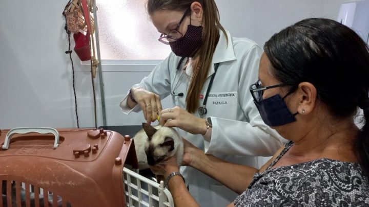 Bem-Estar Animal nos Bairros realiza 240 consultas veterinárias no Jd. Aeroporto em Limeira