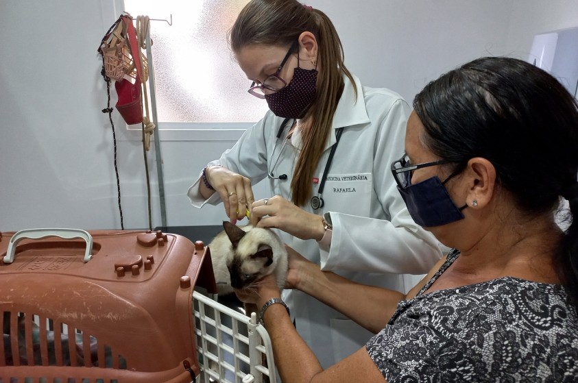 Bem-Estar Animal nos Bairros realiza 240 consultas veterinárias no Jd. Aeroporto em Limeira